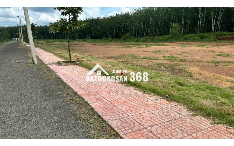 Vốn ban đầu 80 triệu có ngay đất đầu tư tại Đồng Phú - Bình Phước